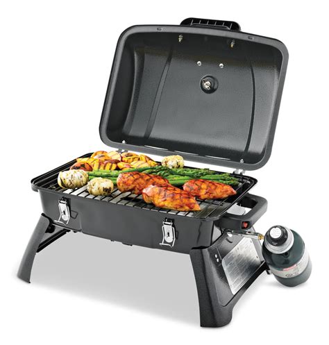 portable gas grill for slow cooking